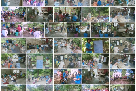 Community-based Organic Mango Seminar, January 2021 (Click here to view)