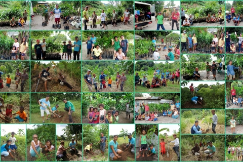 Preda Fairtrade Tree Planting, October 2020 (Click here to view)