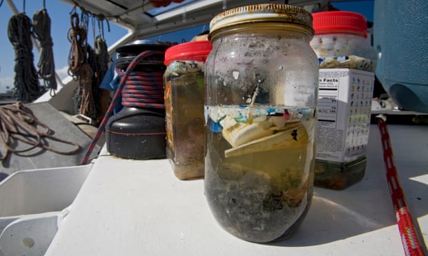 Scientists in Long Beach, California, studying the effects of oceanic microplastic pollution on the ecosystem. Photograph: UIG/Getty